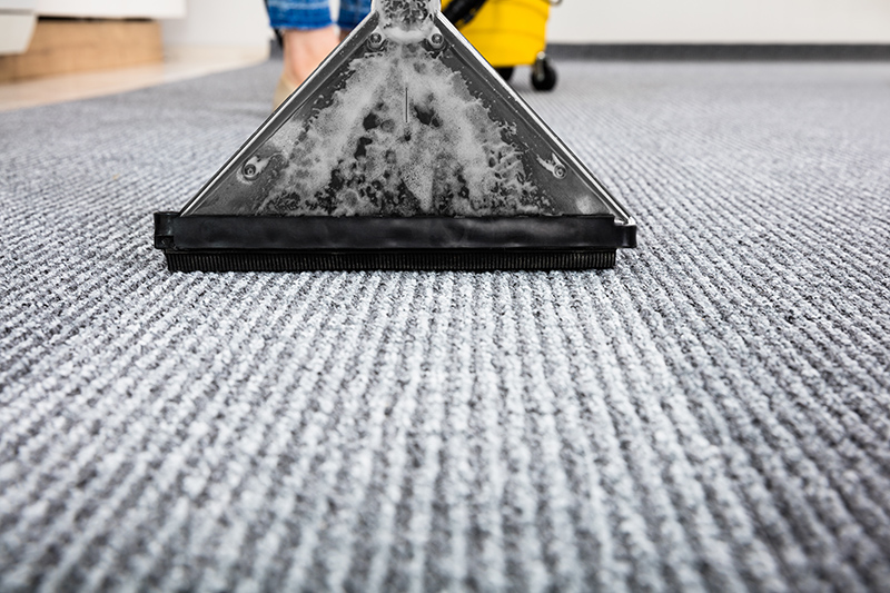 Carpet Cleaning Near Me in Brighton East Sussex